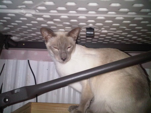 Img03014-20111124-2031